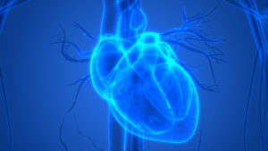 Human-Heart-Anatomy_small-300x169